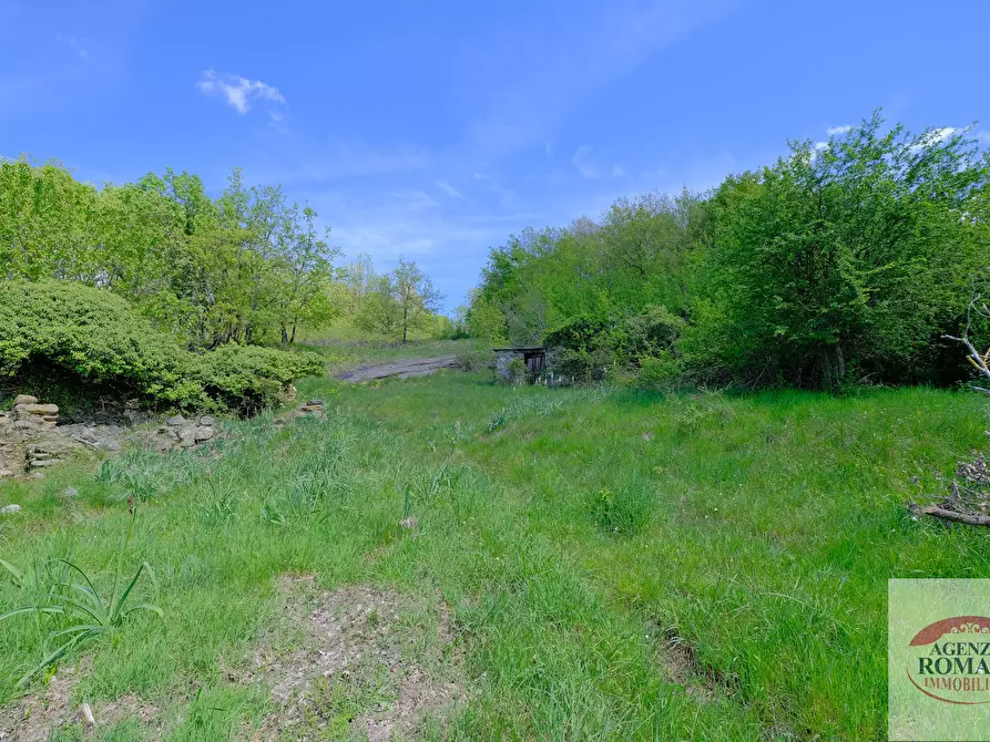 Immagine 7 di Rustico / casale in vendita  in Corso Bovio 2 a Giusvalla