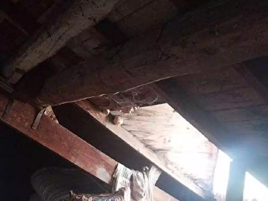 Immagine 6 di Magazzino in vendita  in Via Privata Cacciatori 2 a Torriglia