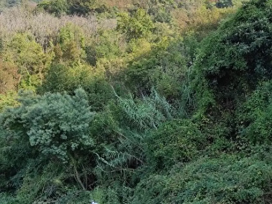 Immagine 1 di Terreno agricolo in vendita  in Via Geminiano snc a Genova