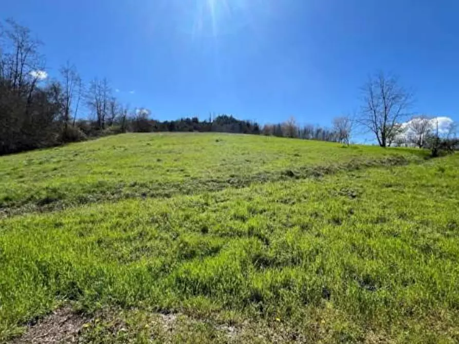 Immagine 9 di Agriturismo in vendita  in Regione Piampodazza 5 a Montechiaro D'acqui