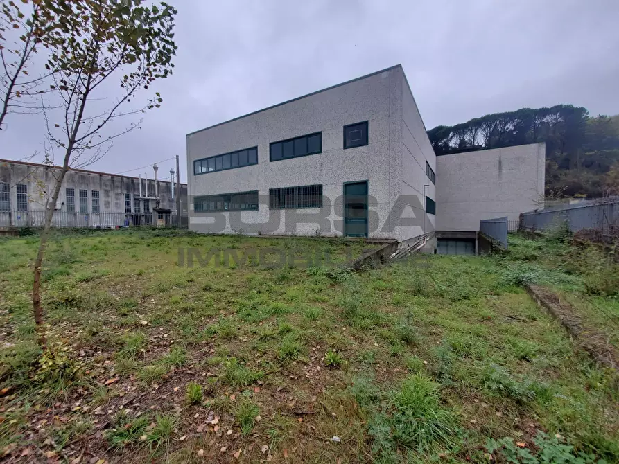 Immagine 28 di Attività artigianale in vendita  in Via Piero Della Francesca snc a Capolona