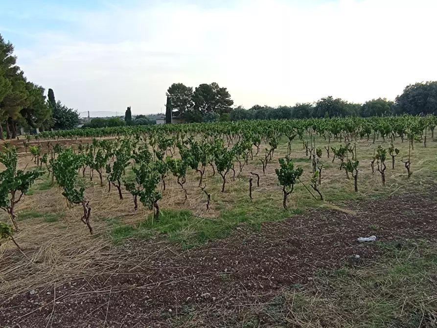 Immagine 10 di Villa in vendita  a Chiaramonte Gulfi