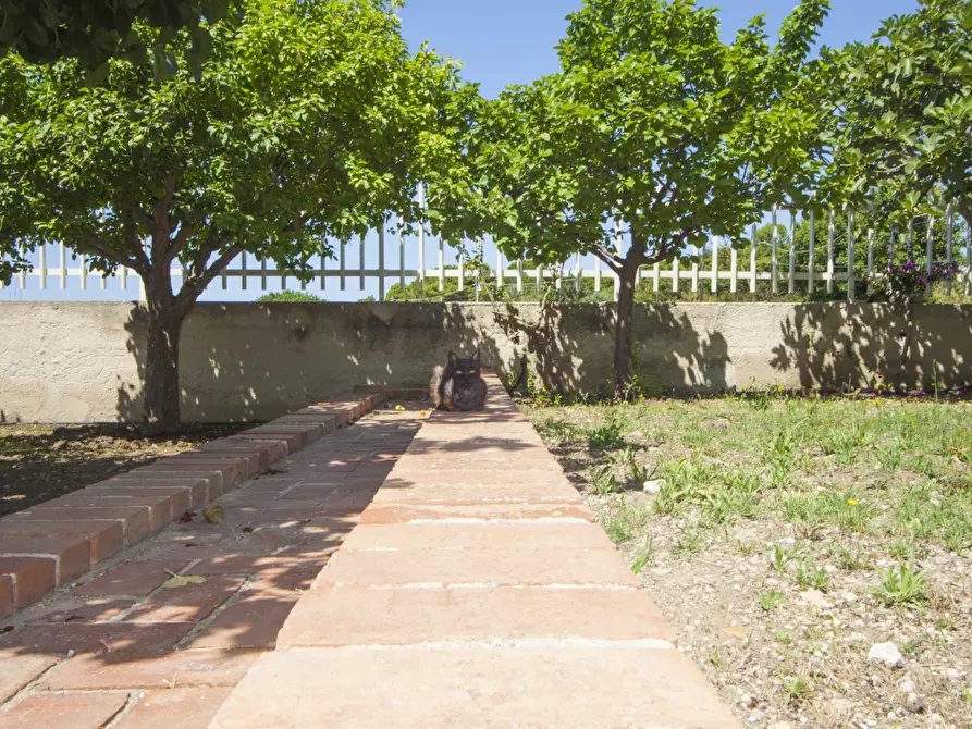 Immagine 38 di Villa in vendita  a Pozzallo