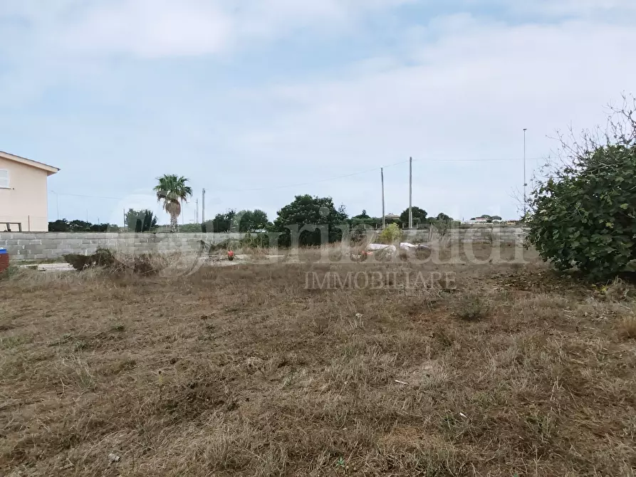 Immagine 3 di Terreno agricolo in vendita  in Via della Campana a Anzio