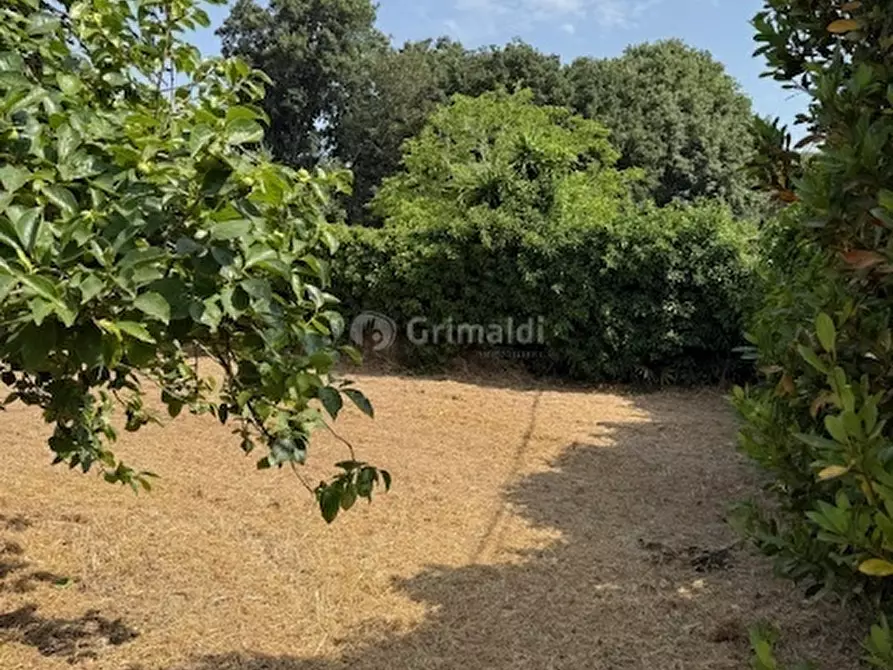 Immagine 3 di Terreno edificabile in vendita  in Via Viminale a Nettuno