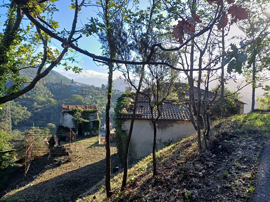 Immagine 3 di Rustico / casale in vendita  in Via Olivella Caminata 17 a Casarza Ligure