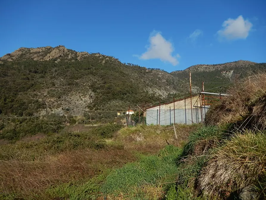 Immagine 7 di Rustico / casale in vendita  in Via Reccio 33 a Casarza Ligure