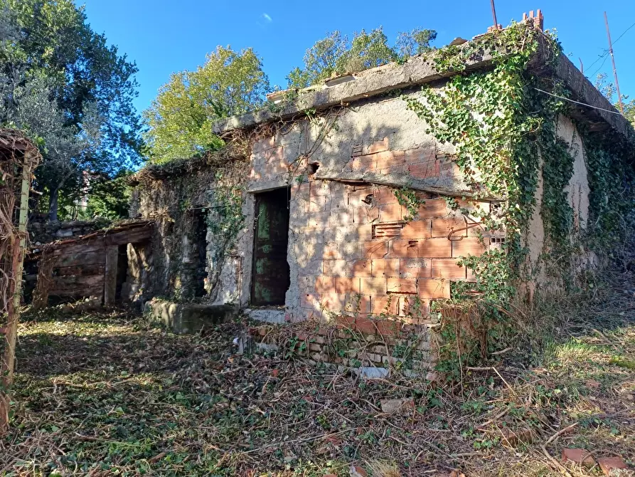 Immagine 12 di Rustico / casale in vendita  in Via Olivella Caminata 17 a Casarza Ligure