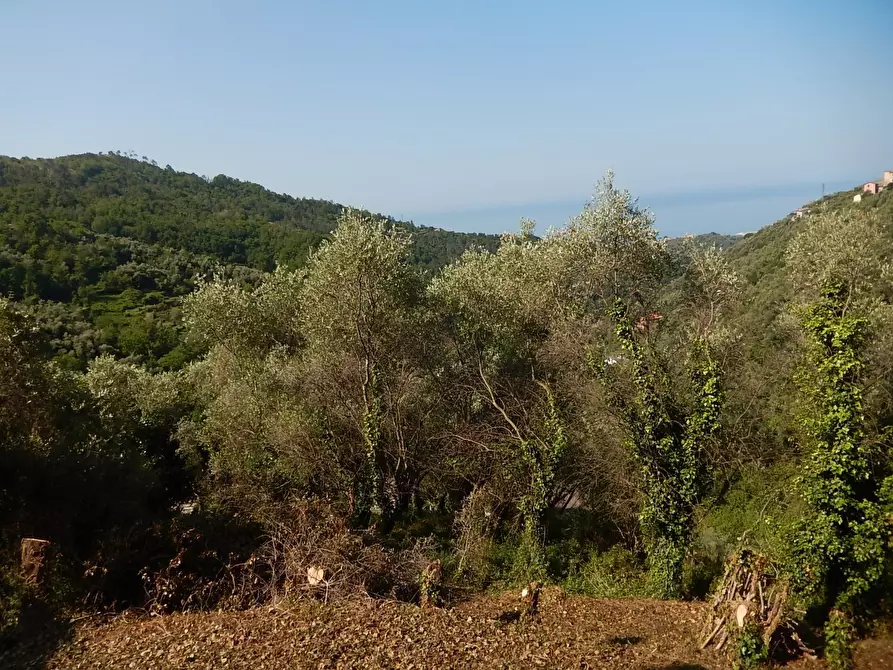 Immagine 3 di Rustico / casale in vendita  in Via Costigliolo a Cogorno