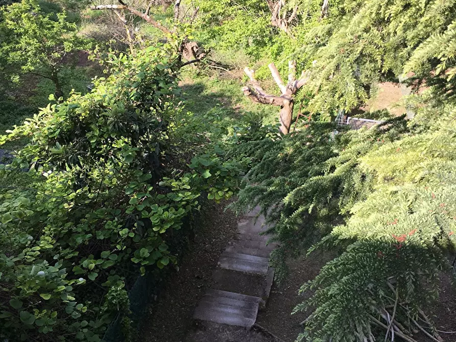 Immagine 3 di Rustico / casale in vendita  a Pisa