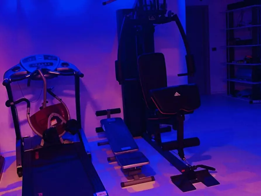 Immagine 34 di Villa in affitto  a Livorno