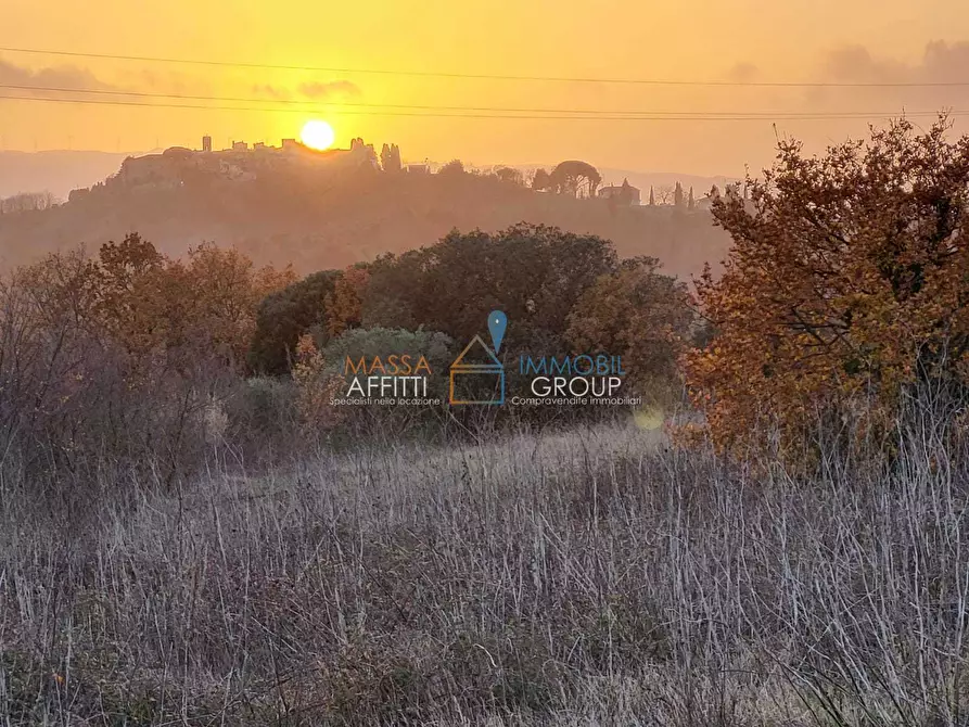 Immagine 3 di Terreno agricolo in vendita  in Via Carbonaia a Palaia