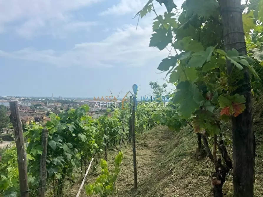 Immagine 12 di Terreno agricolo in vendita  in Via del Pozzo 2 a Massa
