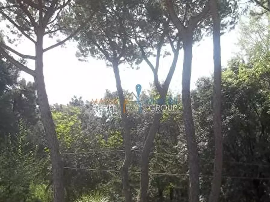 Immagine 18 di Porzione di casa in vendita  in Via dei Mignani 17 a Massa