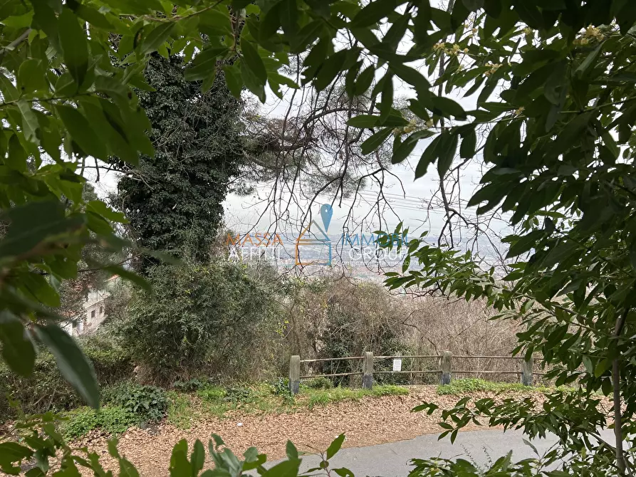 Immagine 10 di Villa in vendita  in Via Tecchioni 5 a Massa