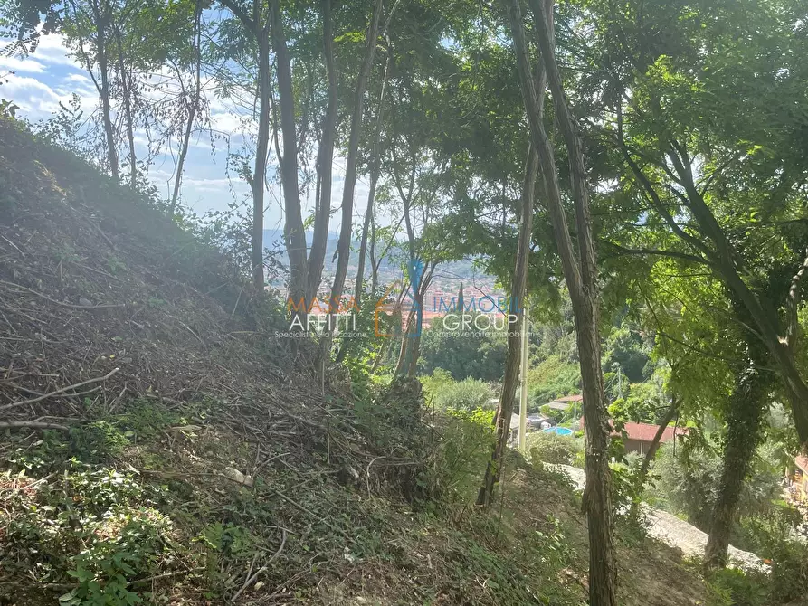 Immagine 12 di Casa bifamiliare in vendita  in Via delle Grazie 8 a Massa