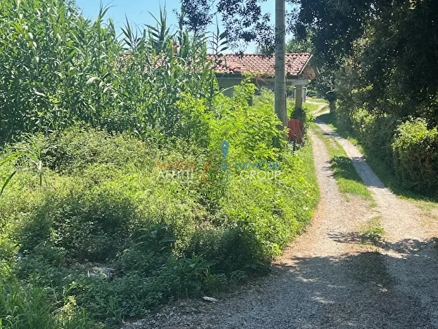 Immagine 9 di Casa indipendente in vendita  in Via del Fescione 1 a Massa