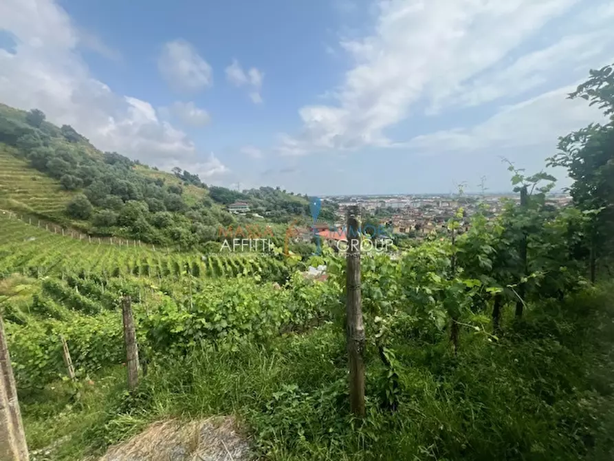 Immagine 11 di Terreno agricolo in vendita  in Via del Pozzo 2 a Massa