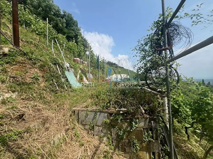 Immagine 9 di Terreno agricolo in vendita  in Viottolo Pianamaggio 1 a Massa