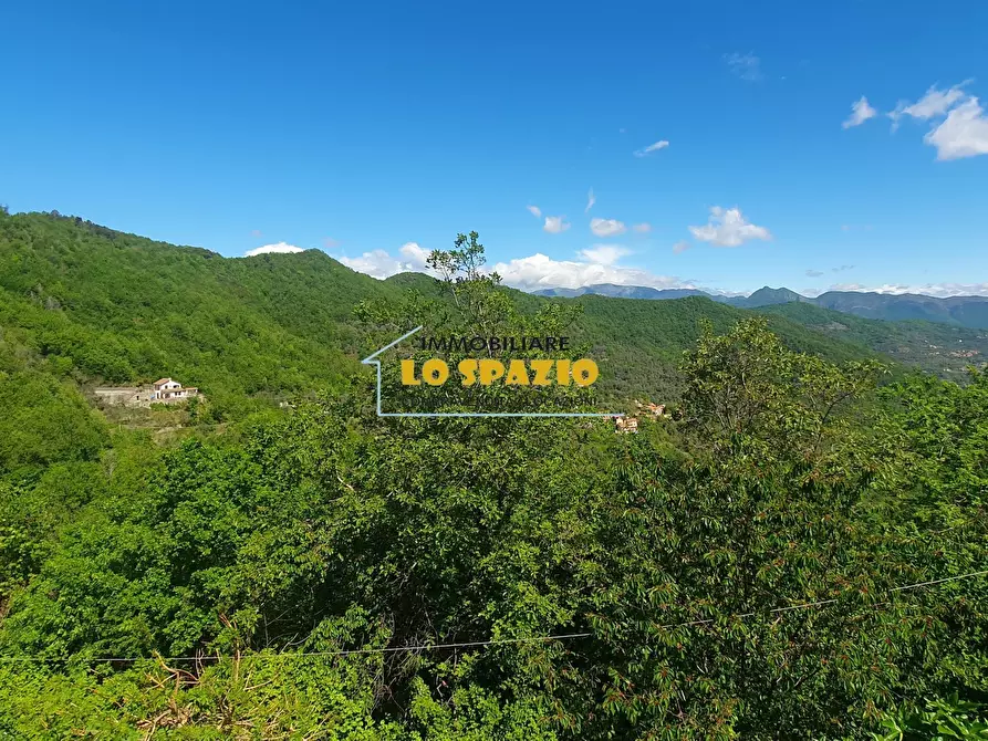 Immagine 30 di Casa indipendente in vendita  in Piazza Iv Novembre a Testico