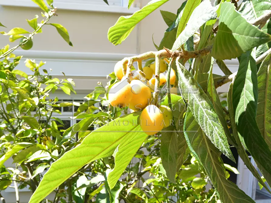 Immagine 22 di Pentalocale in vendita  in Via Montegrappa 4 a Savona