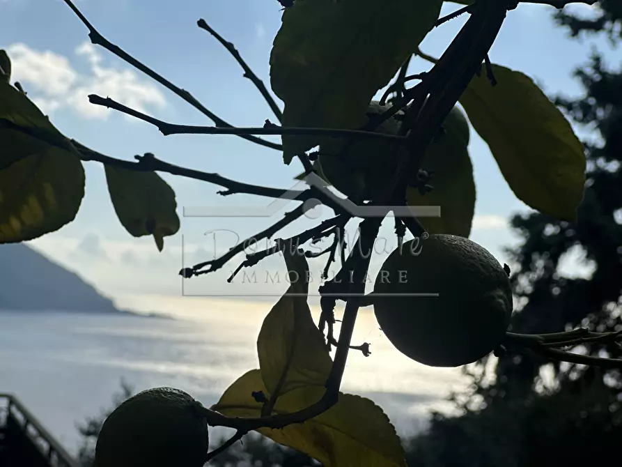 Immagine 58 di Casa indipendente in vendita  in Salvo D'Acquisto 70 a Recco