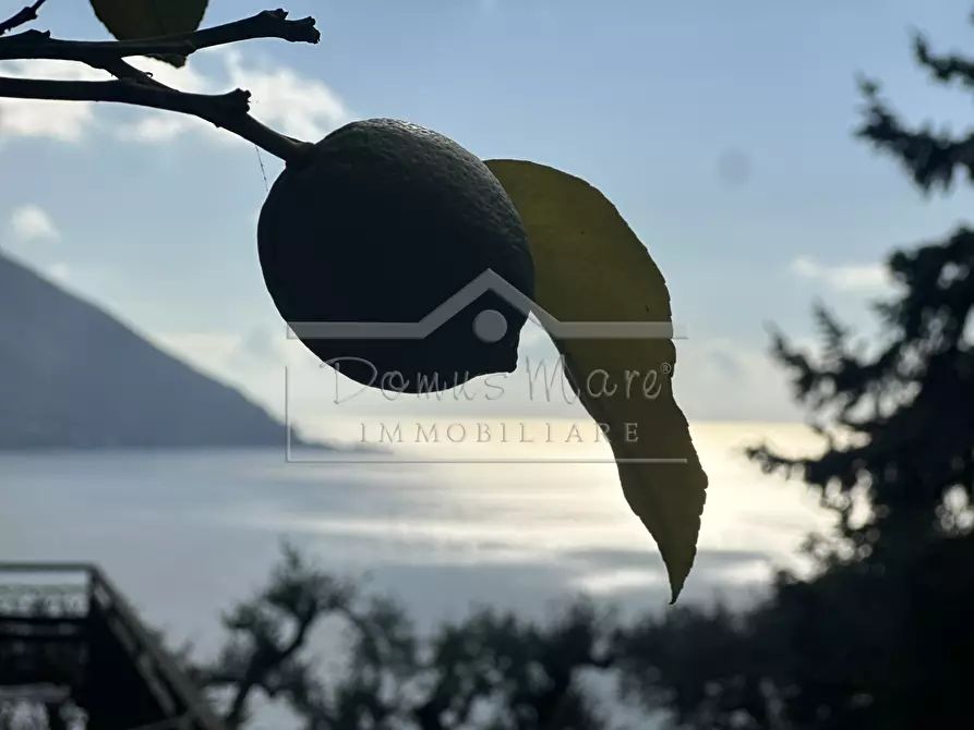 Immagine 5 di Casa indipendente in vendita  in Salvo D'Acquisto 70 a Recco