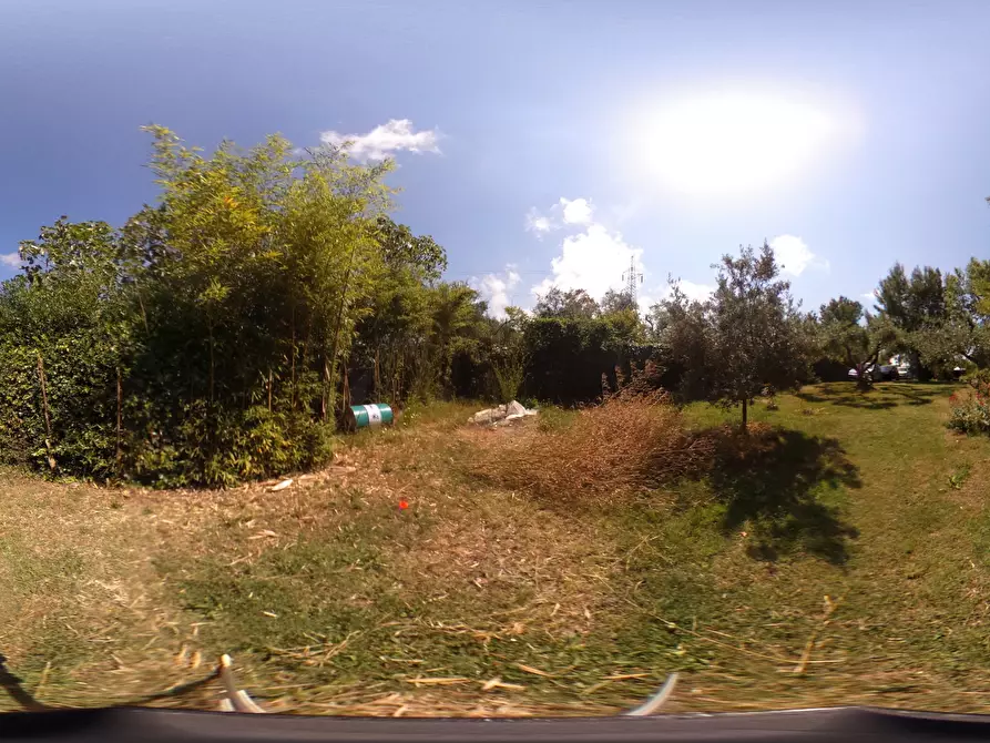 Immagine 23 di Terreno agricolo in vendita  in Via dell'Uliveta a Livorno