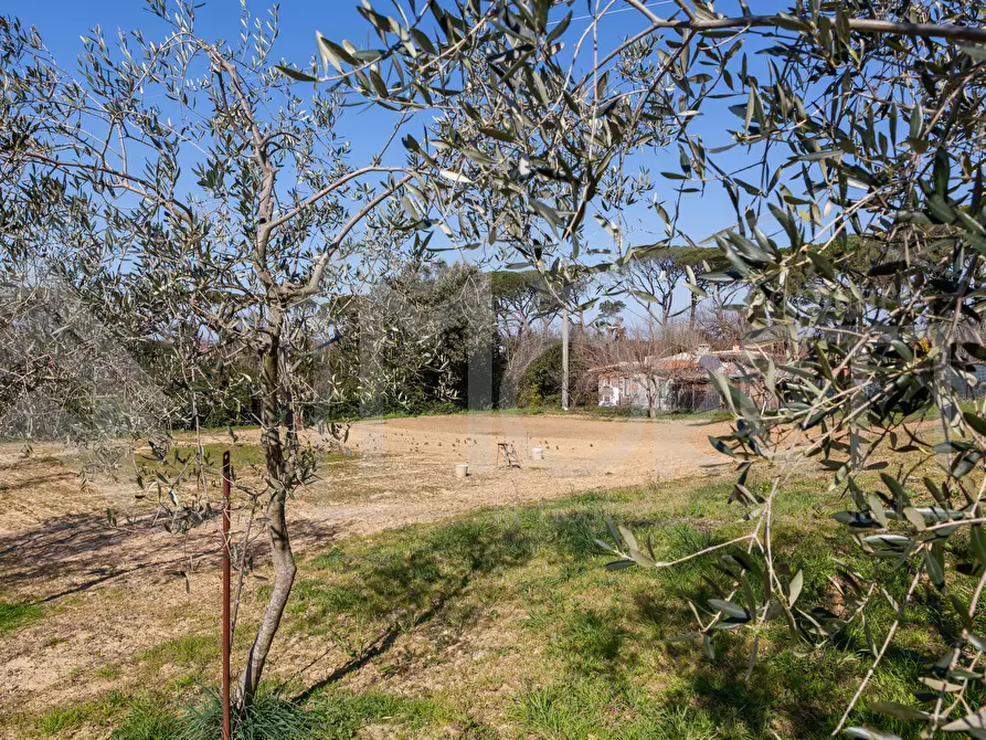 Immagine 16 di Terreno agricolo in vendita  in Via delle Sorgenti a Livorno