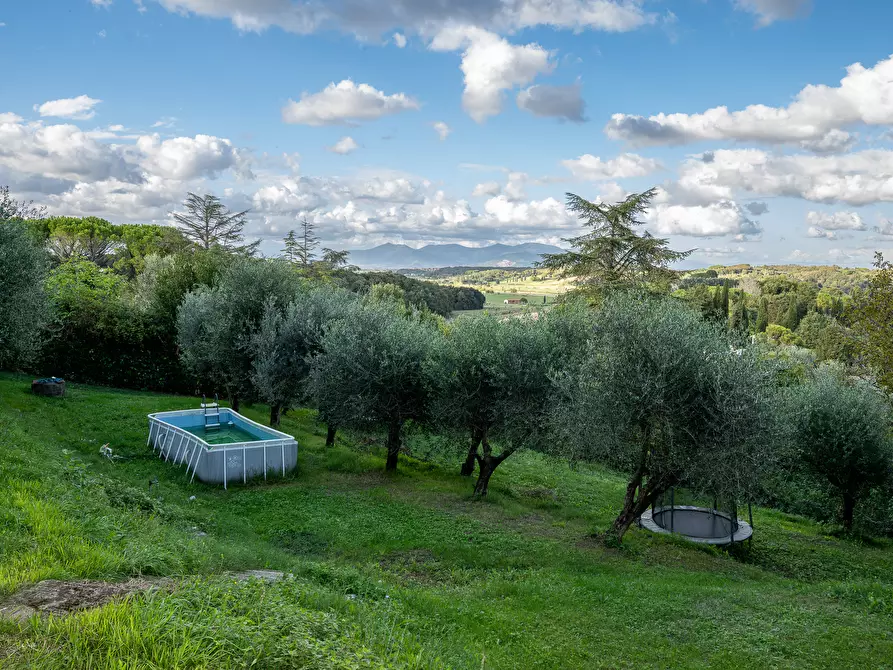 Immagine 21 di Villa in vendita  in Via Delle Corti a Collesalvetti