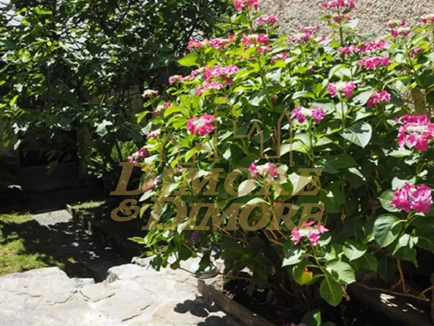 Immagine 56 di Baita in vendita  a Valle Cannobina