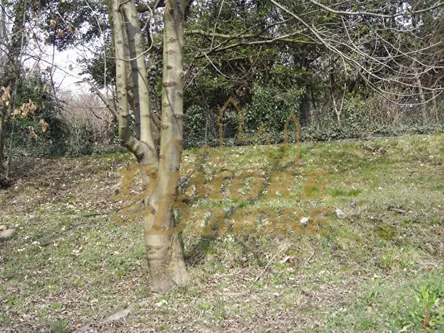 Immagine 34 di Rustico / casale in vendita  in via San Gaudenzio 14 a Verbania