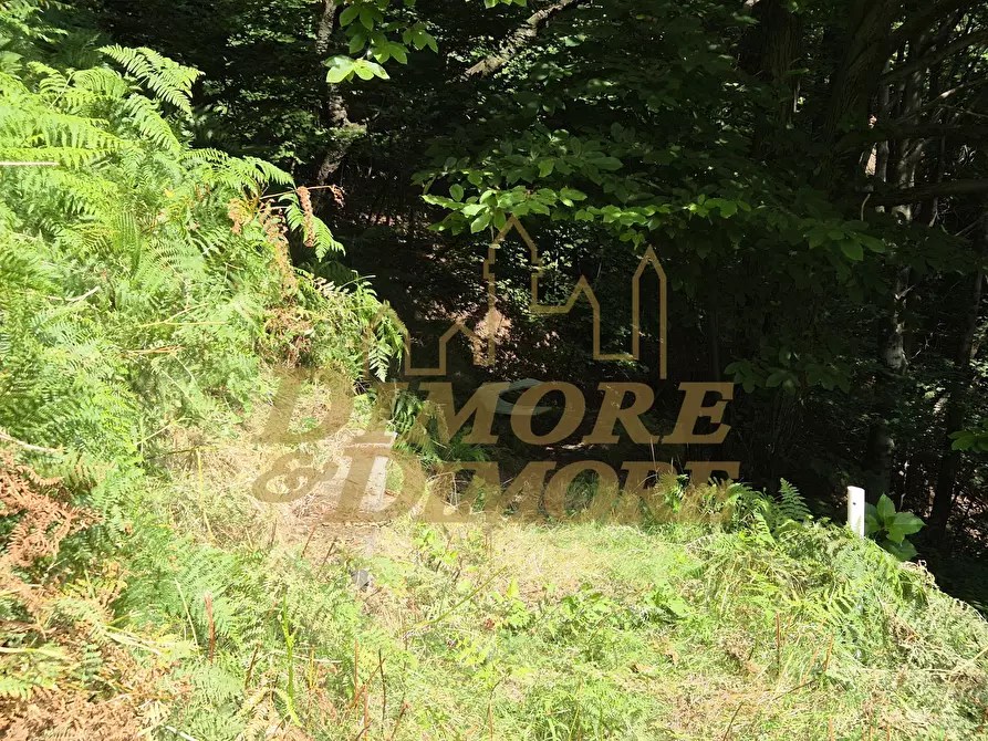 Immagine 6 di Casa indipendente in vendita  in via per Cambiesso a Intragna