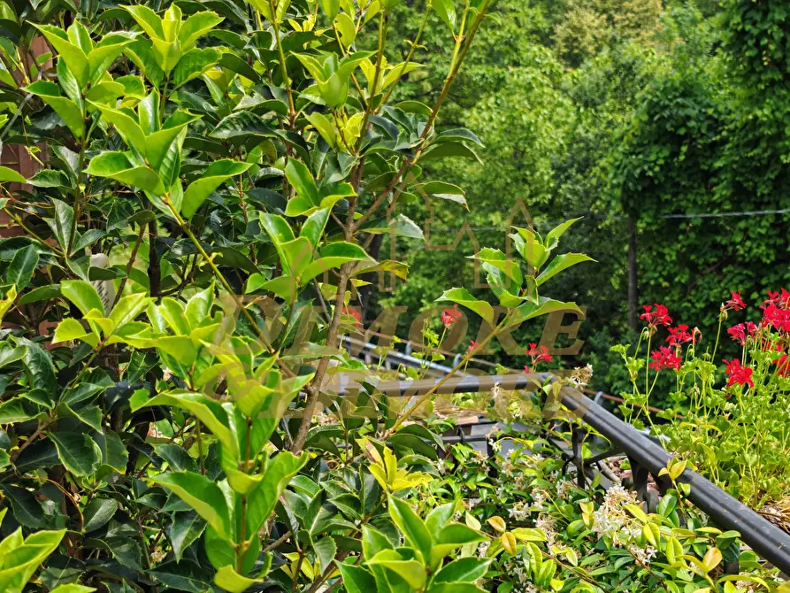 Immagine 24 di Villa in vendita  a Cannobio