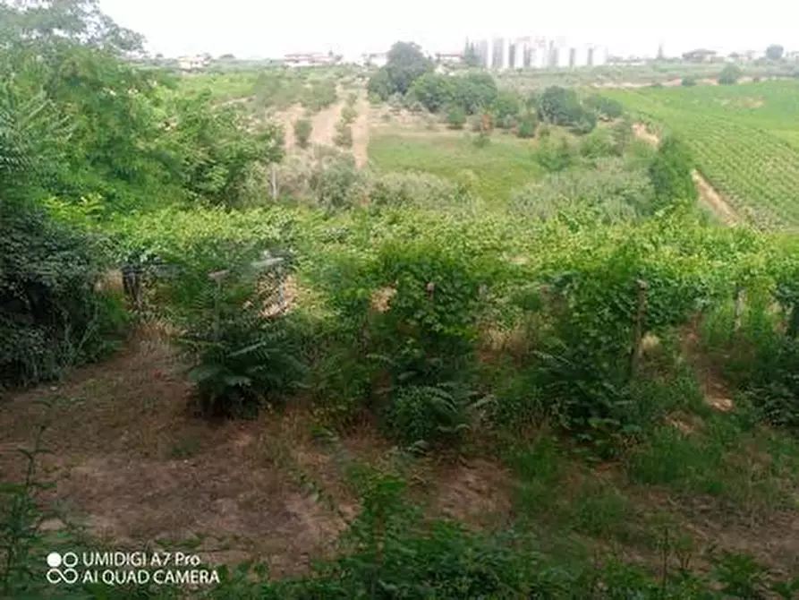 Immagine 14 di Terreno agricolo in vendita  in C.DA VILLA STANAZZO a Lanciano