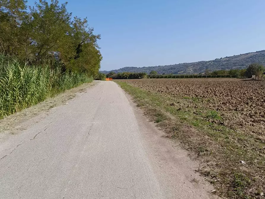 Immagine 37 di Attività artigianale in vendita  in C.DA PIANA LA BARCA a Paglieta