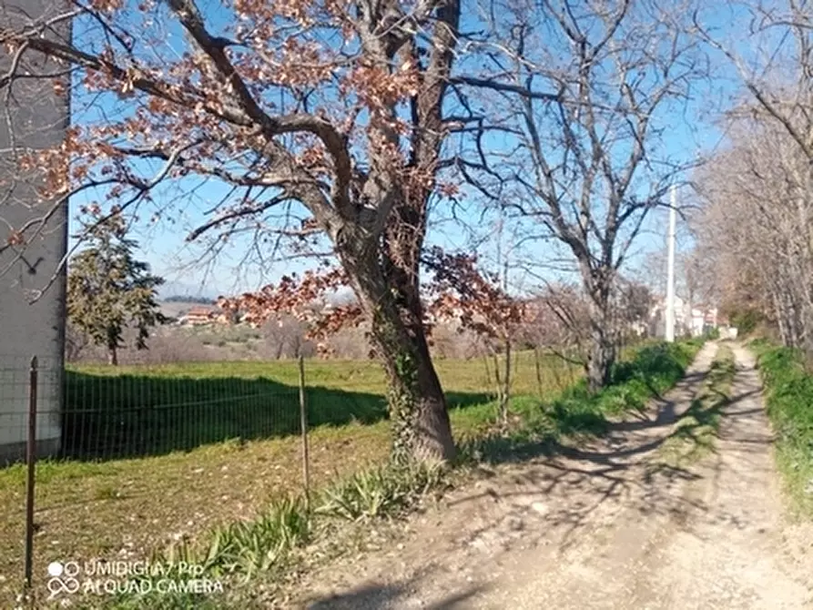 Immagine 25 di Rustico / casale in vendita  in CONTRADA MORGE a Castel Frentano