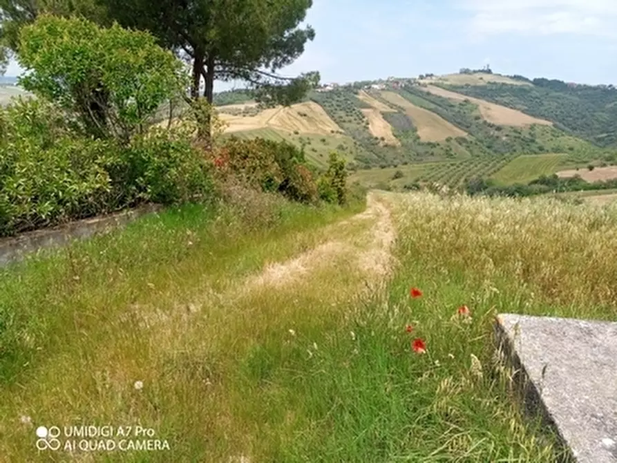 Immagine 10 di Terreno agricolo in vendita  in LOCALITA' CATOSCIO a Castel Frentano