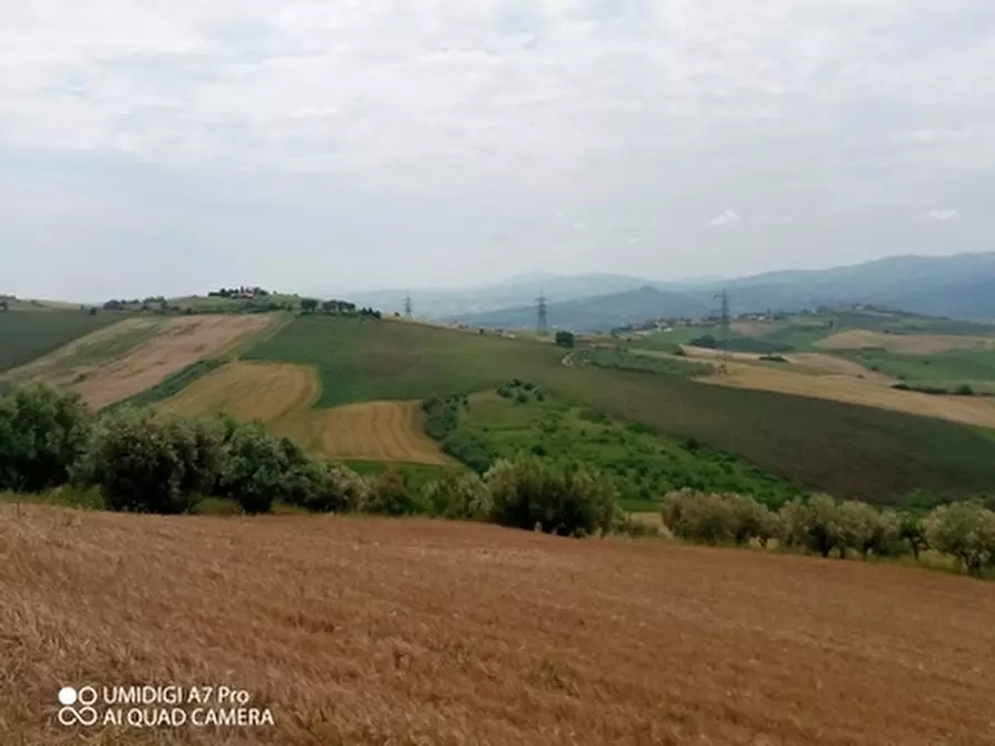 Immagine 5 di Terreno agricolo in vendita  in LOCALITA' CATOSCIO a Castel Frentano