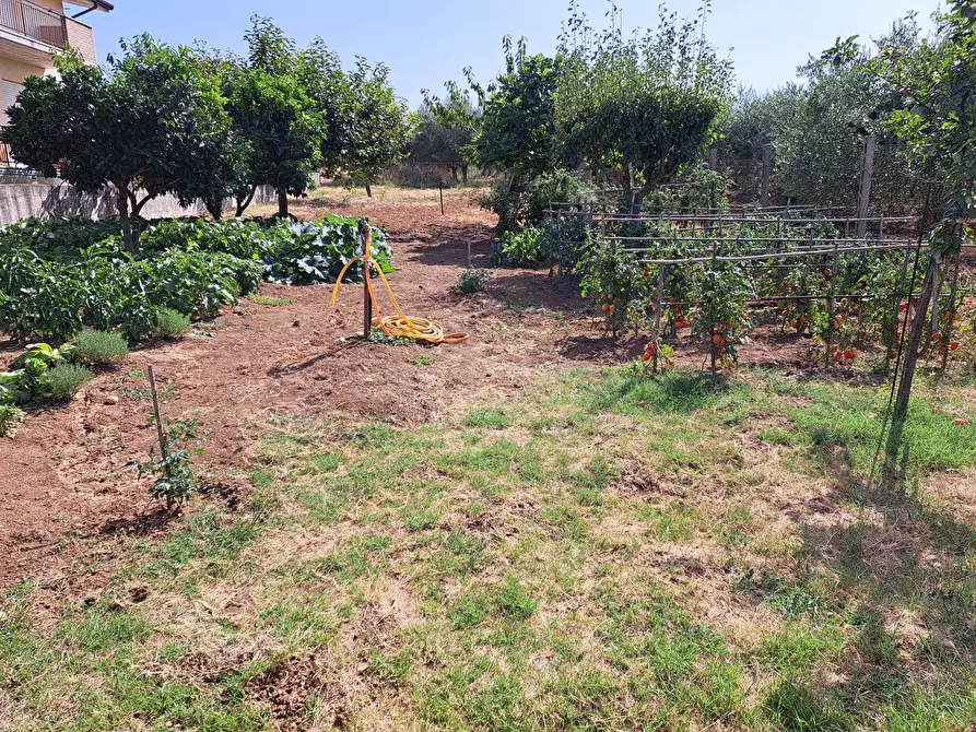 Immagine 6 di Villetta a schiera in vendita  in C.DA VILLA ANDREOLI a Lanciano