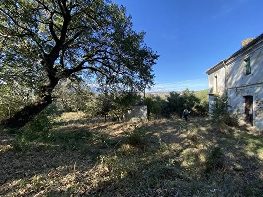 Immagine 8 di Porzione di casa in vendita  in CONTRADA PORRECHI a Castel Frentano