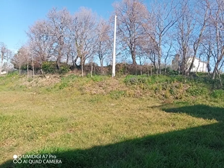 Immagine 8 di Rustico / casale in vendita  in CONTRADA MORGE a Castel Frentano