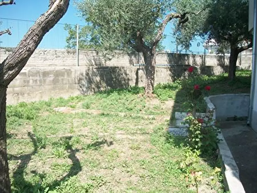 Immagine 29 di Porzione di casa in vendita  in VIA DEI PICENI a Castel Frentano