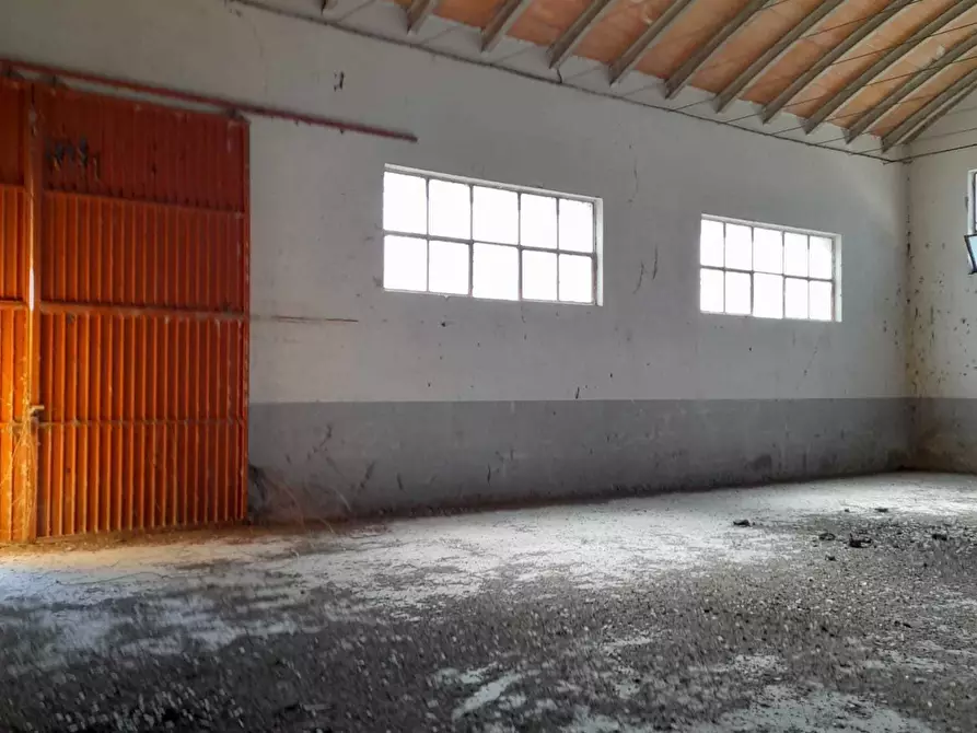 Immagine 20 di Attività artigianale in vendita  in C.DA PIANA LA BARCA a Paglieta