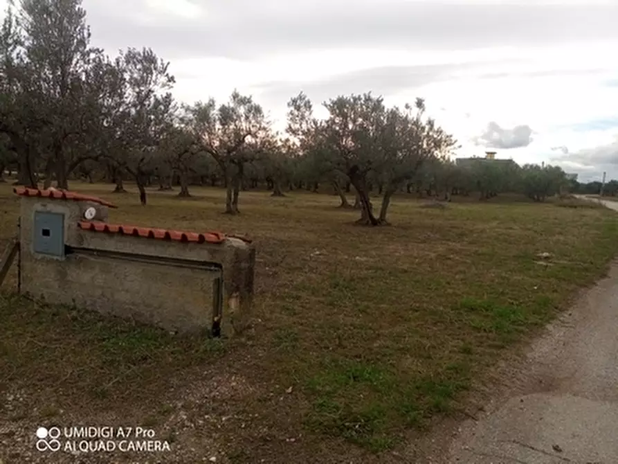 Immagine 21 di Rustico / casale in vendita  in VIA VECCHIA SCORCIOSA a Fossacesia