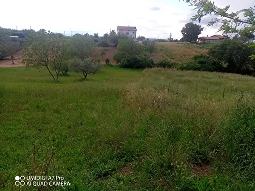 Immagine 10 di Terreno agricolo in vendita  in CONTRADA MARCIANESE a Lanciano
