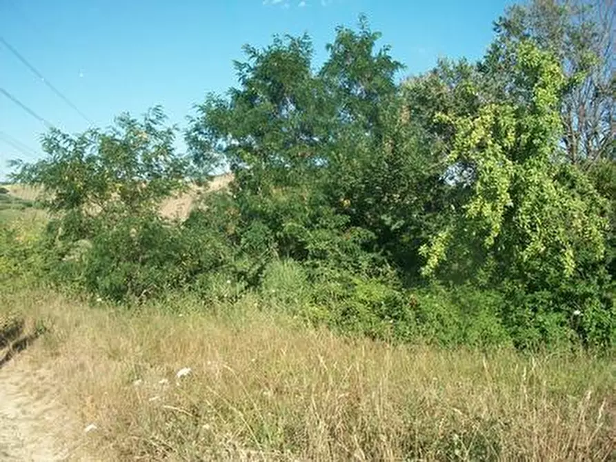 Immagine 4 di Terreno agricolo in vendita  in C.DA RIZZACORNO a Lanciano