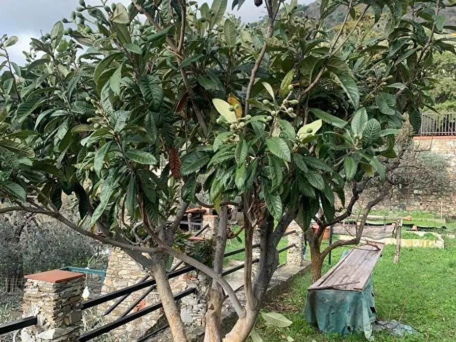 Immagine 25 di Villa in vendita  in Via Adelasia a Alassio