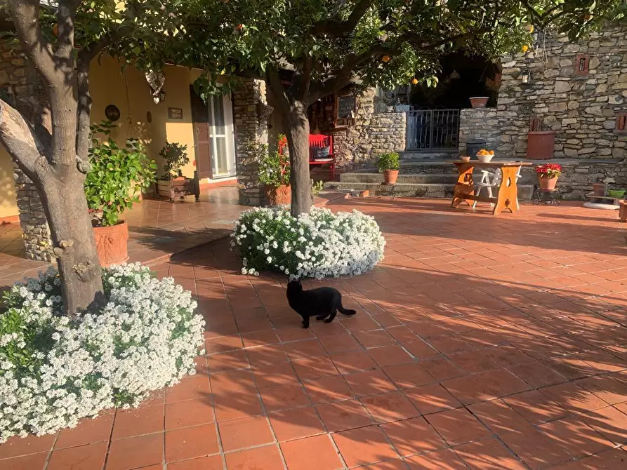 Immagine 23 di Villa in vendita  in Via Adelasia a Alassio