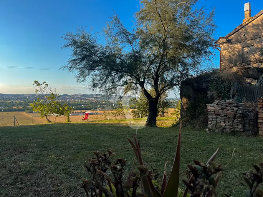Immagine 8 di Rustico / casale in vendita  a Jesi
